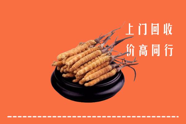 高价求购：七台河市茄子河区回收散虫草