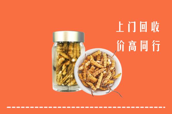 收购行情：七台河市茄子河区回收冬虫夏草